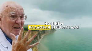 Питание для памяти - простые продукты, которые помогают мозгу