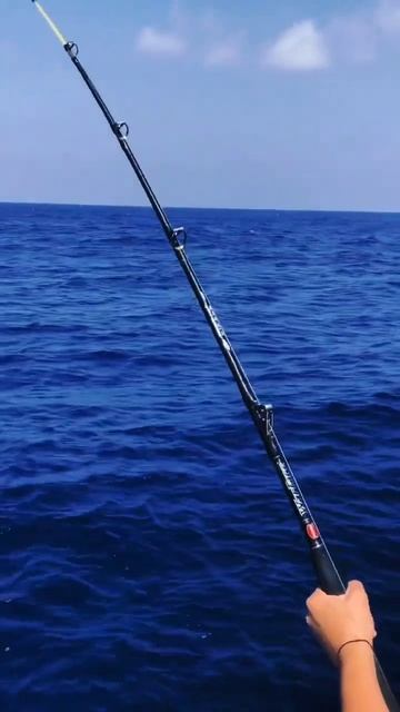 Морская рыбалка 🎣 #fishing #phuket #fish #рыбалка#морскаярыбал?
