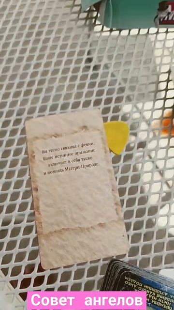 совет ангелов высшие силы пасьянс косынка феншуй карт смотреть онлайн