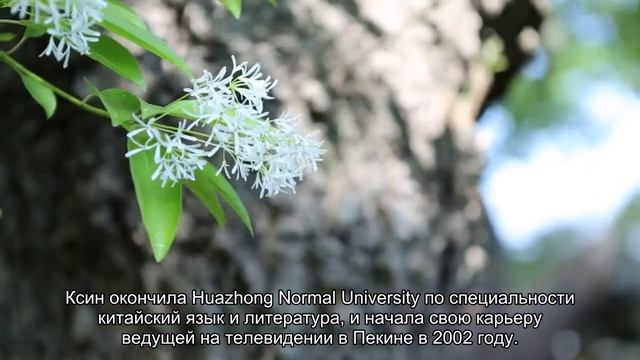 10 самых сексуальных телеведущих Китая смотреть онлайн