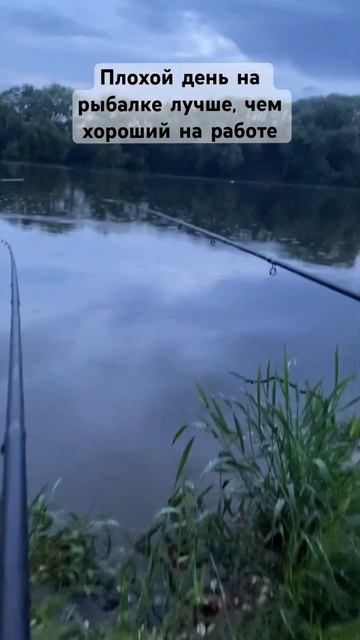 #fishing#москва#фидер#род-под#лещ#карась#какпойматьрыбу#м? смотреть онлайн