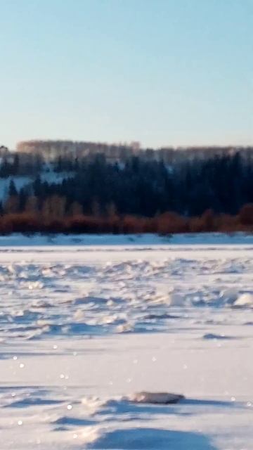 #shorts #рыбалка #жерлицы #р Кама верховье смотреть онлайн