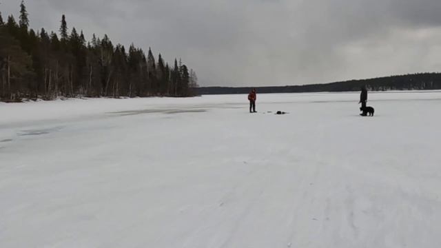 В ПОИСКАХ ТРОФЕЕВ. В ВЫХОДНОЙ ДЕНЬ НА РЫБАЛКУ. "IN SEARCH OF A