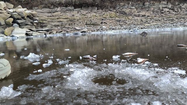 В ЭТОМ МЕСТЕ РЫБЫ КИШИТ! ЗИМНЯЯ РЫБАЛКА НА МОРМЫШКУ. ЛО смотреть онлайн