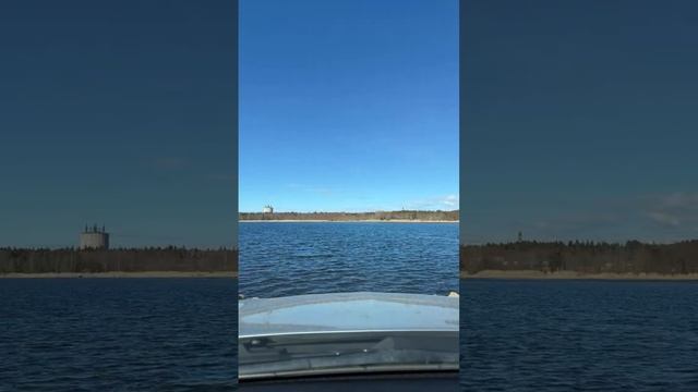 Финский залив, в сосновом бору смотреть онлайн