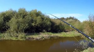 Ловля щуки в сентябре. Ловля хищника на спиннинг. Рыба?