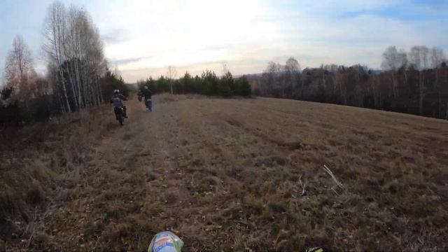 полем лесом буреломом ;-) смотреть онлайн