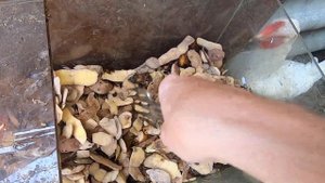 как размножить и держать червей для рыбалки зимой