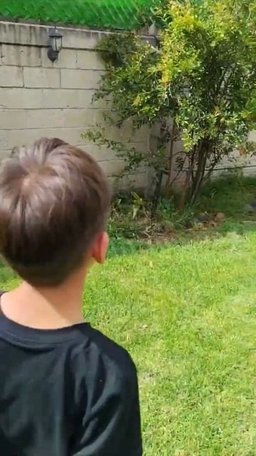 Переехали в новый дом в городе Мехико сити #mexico #cdmx #house смотреть онлайн