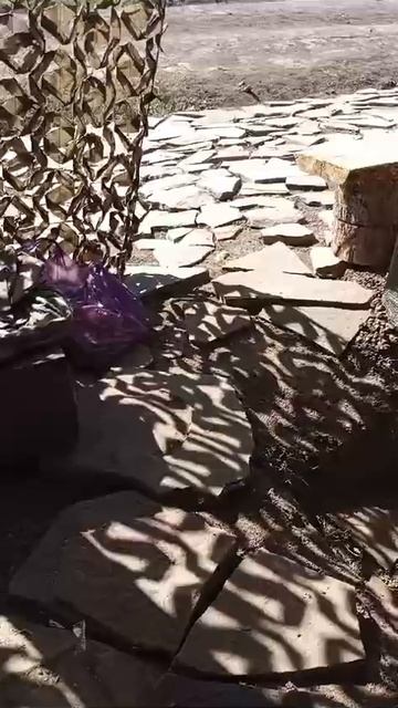 Трещотка - тур щетка смотреть онлайн