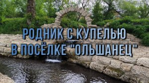#26 Родник с купелью в посёлке Ольшанец. 2025. Елецкий район, Липецкая область