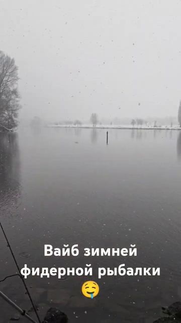 Зимняя рыбалка на фидер #fishing #carpfishing #рыбалка #carp #fish смотреть онлайн