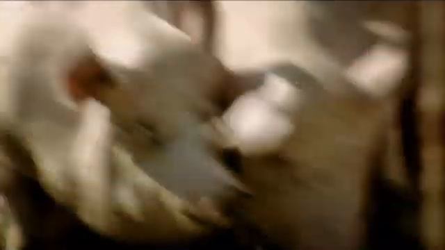 Ляпис Трубецкой - Манифест (2009 Demonic Version) смотреть онлайн