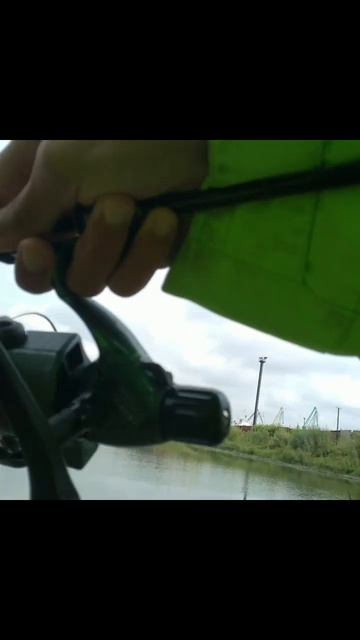 думал трава а оказалась микро щучка #спининг #люблюрыб смотреть онлайн