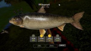 РР4 Трофейный КУТУМ и ВЫРЕЗУБ - Самые сложные Редкие тр