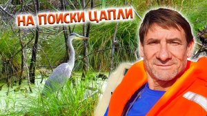 316. Конец лета на знаменитых озёрах. Моряк из меня никакой. Озеро Линево, озеро Данилово. Окунево.