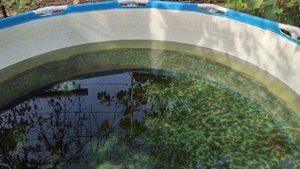 Бассейн 305 х 76