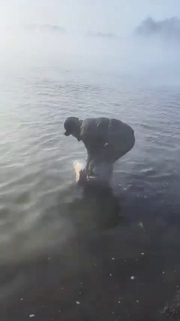 26 02 25г москва река сазан 9кг молодец Муродчон ️ #сазан смотреть онлайн