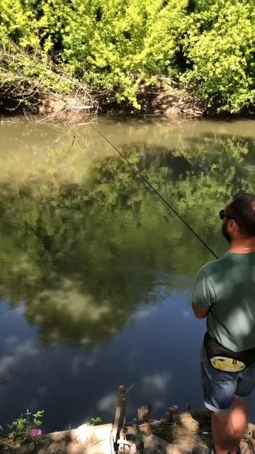 Латориця тест подарочного удилеща та котушка AZURA Safina X смотреть онлайн