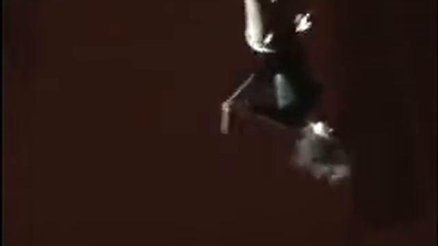 Гимнастка на корд-де-парели Регина Бауман Дания Выпуск ГУЦЭИ 2007