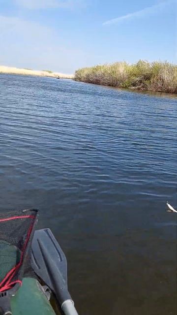 открытие #рыбалка #ишим смотреть онлайн