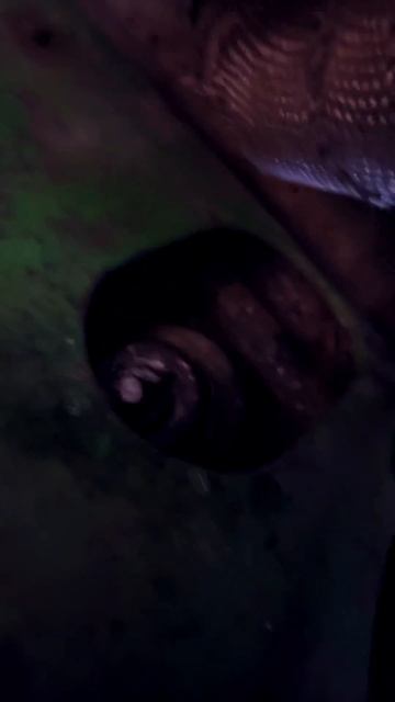 Какая боль разбирать очень старые запчасти с машины😭 смотреть онлайн