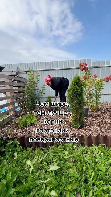 Ванилла Фрейз мультиштамб ( перегной) , Скайфолл ( хвой? смотреть онлайн