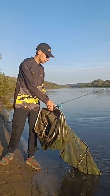 Поехал на рыбалку наловить огромных лещей! #fishing #прир? смотреть онлайн