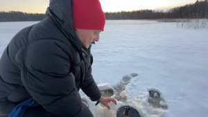 "Профессионалы"  ловят щуку на  зимние жерлицы