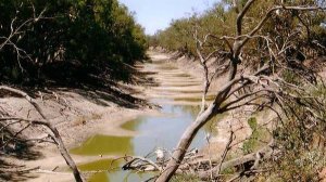 Почему в церкви служений много, а жизни мало