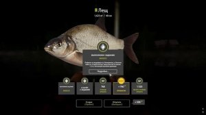 РР4 Новогодние задания!❄️Прохождение всех квестов и ?