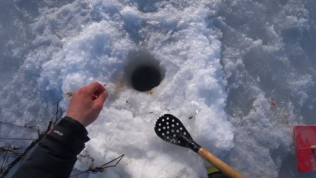 НАДУБАСИЛИ СУДАКА В КАМЫШАХ! КАТУШКИ ЗВЕНЯТ! ДУША ПОЁТ смотреть онлайн