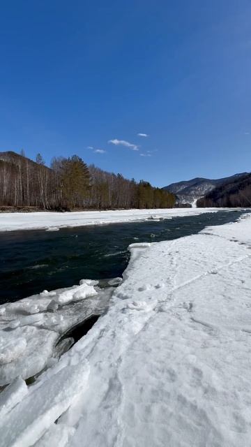 60с мало😁 2 дня в с. #Чарыш, Алтай!  #WelcomeRUS #природа  #рыба? смотреть онлайн