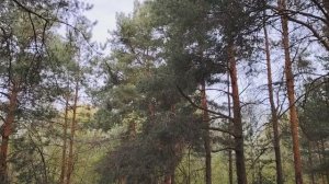 Как работа искажает нашу жизнь и представление о ней