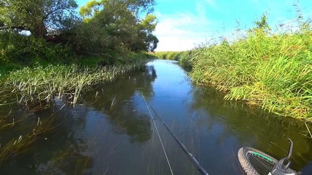 ЗАЧЕМ Я СЮДА ЗАПЛЫЛ... ЗАЛЕЗ В САМЫЕ ДЕБРИ! Рыбалка на с?