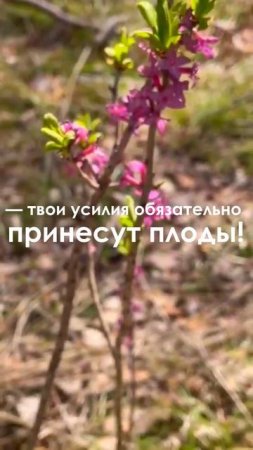 До ЕГЭ по биологии 1 месяц! #егэ #подготовкакегэ #школа #экзамены #биология #учёба #мотивация