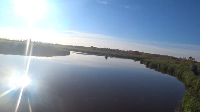 Самая лучшая рыбалка в мире!!! Оз. Дикое! Томская област смотреть онлайн