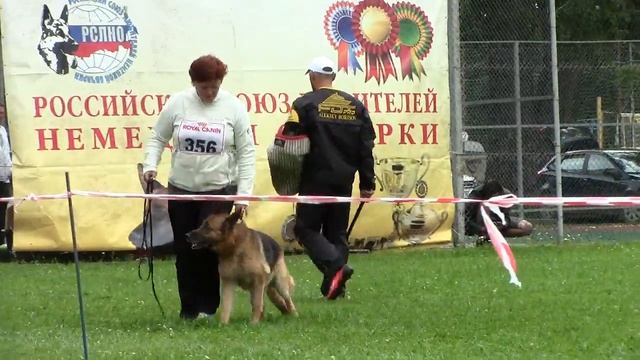 2 отл Endrefalva Cleopatra смотреть онлайн