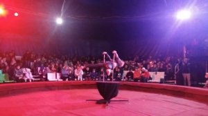 Киевский передвижной цирк-шапито"Сфера"-1