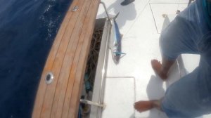 Рыбалка на Кипре.Ловим в открытом океане на большой гл