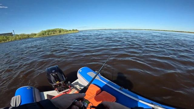 Судак на джиг!!!клыкастый монстр!!!Северная Двина