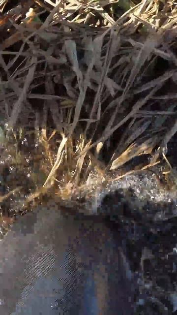 Провалился под лёд без льда во время мормышинга! смотреть онлайн