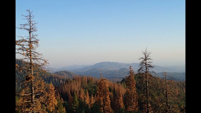 Юлій Мейтус “Пісня дівчини” смотреть онлайн