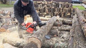 Распил берёзы на дрова бензопилой Oleo-mac GS650.