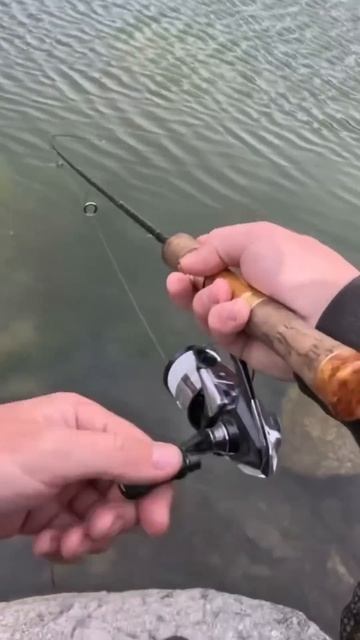 24 апреля 2025 г. смотреть онлайн