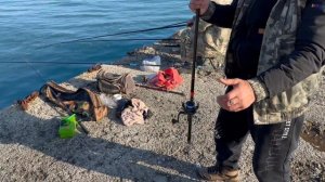 Сарган! Черноморская рыбалка. Крым, 2025