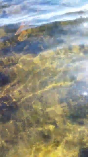 Кандалакшский залив Белого моря. смотреть онлайн