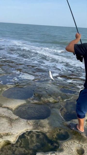 Ловля Кутума #caspian_sea #fishing #fish #дагестан #carpfishing смотреть онлайн