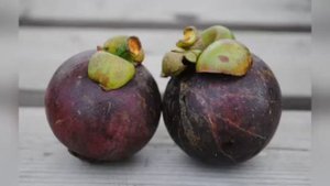 ... Экзотические тропические Фрукты....