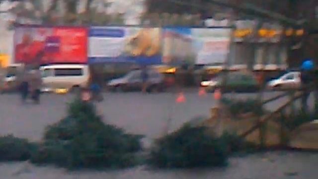 Сборка искусственной новогодней елки в Выборге, 2014г. смотреть онлайн